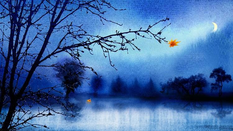 幽雅阁文学诗〈2〉二部组稿 《秋月夜》 收集整理:小楼听雨