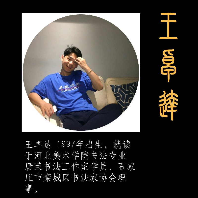 王卓达书法专辑