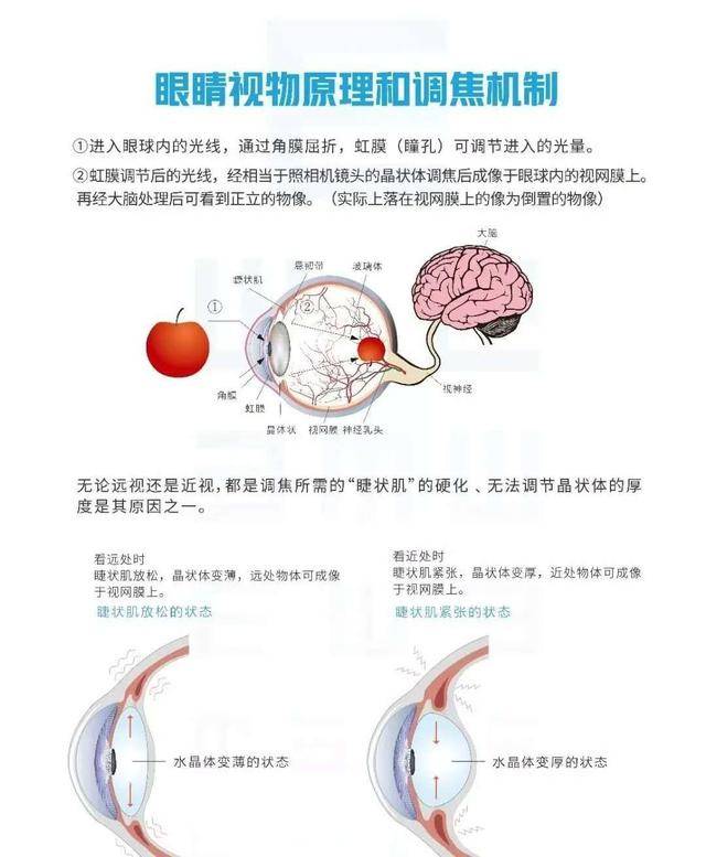 眼波护眼仪:当生活遇上科技