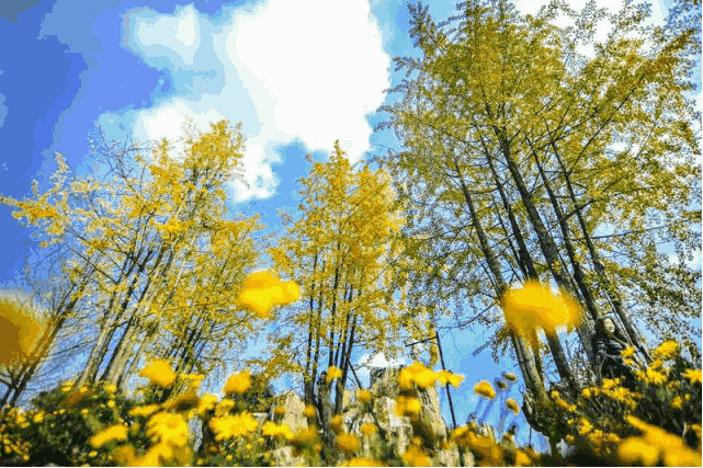 src=http _5b0988e595225.cdn.sohucs.com_images_201.