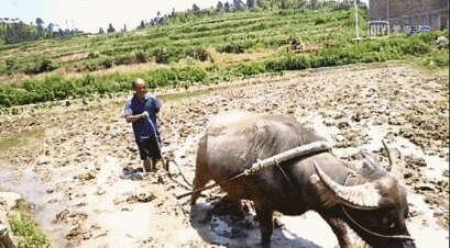 409_226gif 动态图 动图