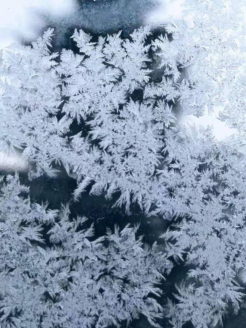 恨余无妙法,仙墨可长呈. 复活的霜花 温蒂 你冷吗? 你在哪学的画?