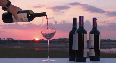 450_244gif 动态图 动图