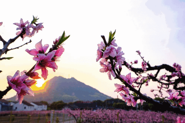 sinaimg-1613720663117.