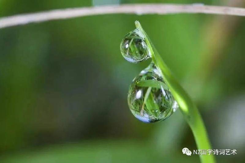 幼儿来园离园卡通图片_天福园幼儿园分园_幼儿园散文诗教案怎么写