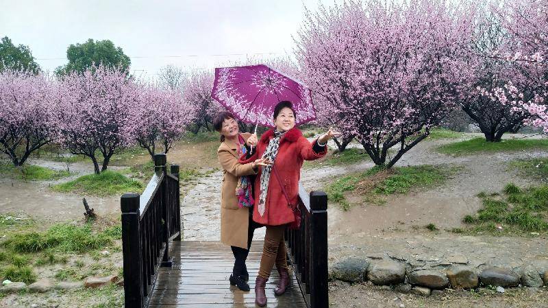 辛丑元宵节前一日家乡梅苑雨中赏梅 陈亚萍(湖北黄梅)