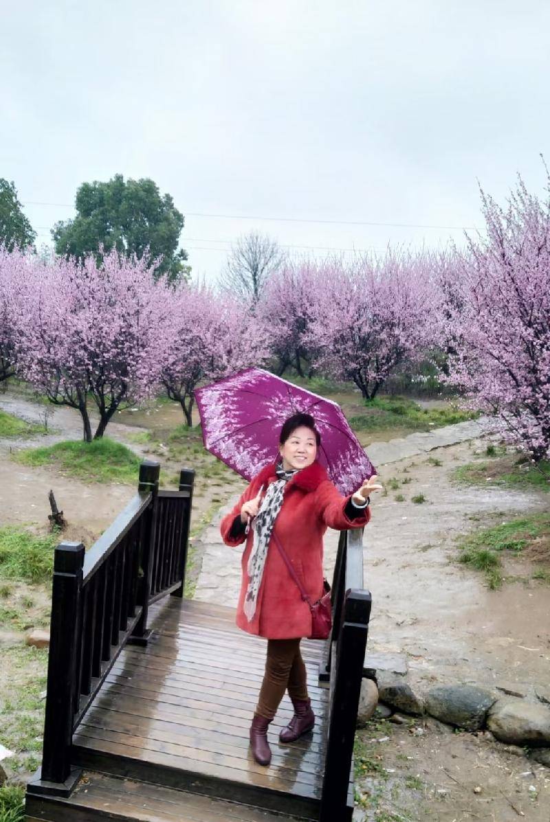 辛丑元宵节前一日家乡梅苑雨中赏梅 陈亚萍(湖北黄梅)