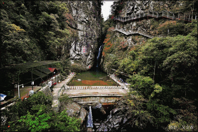 282b1f8b26a04dee9241ccd25a28e60b.gif
