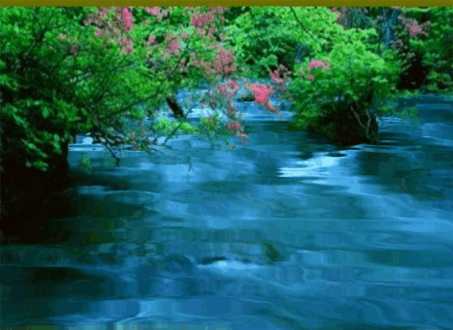 疆闻抒情诗 丨诗意猫耳洞的世界丨京港澳台世界头条总社发布