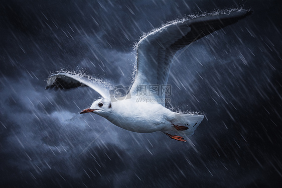 让暴风雨来得更猛烈些吧!
