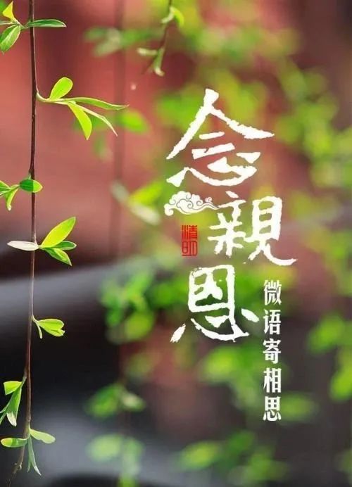 念亲恩思念是一种痛作者任延红写在母亲节