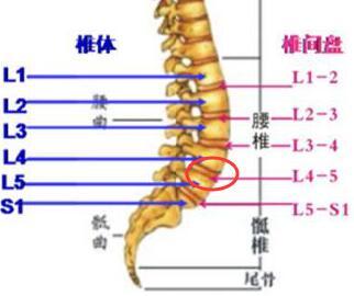如梦人生《鹧鸪天· 腰间盘突出》诵读/玉华