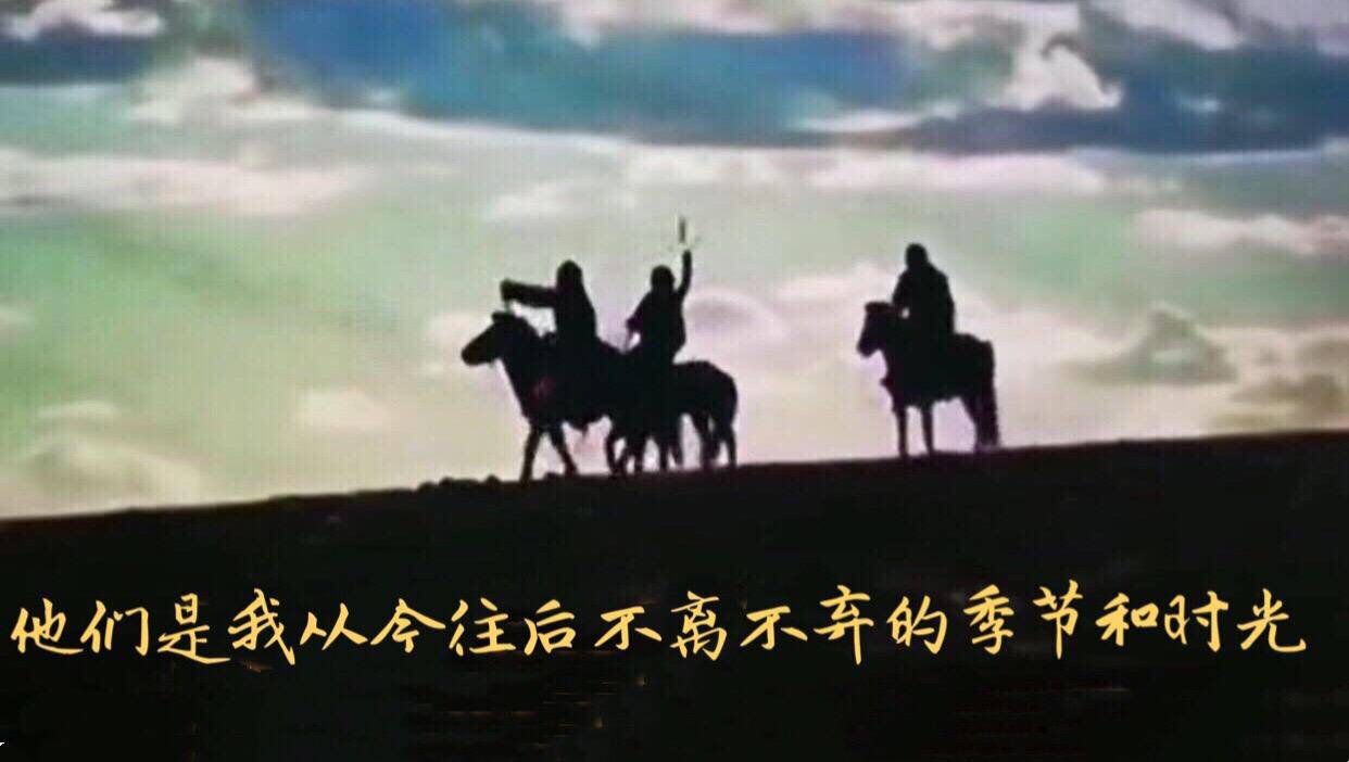 一匹绝处逢生的马