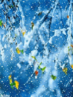 白居易的诗词【雪】