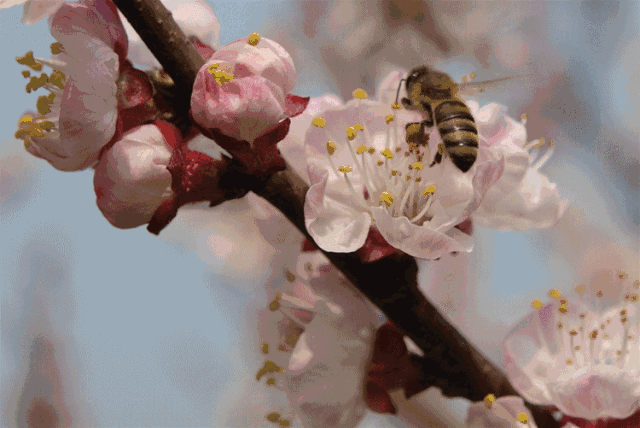 sohucs.com_images_20180309_2bd8ba1ca00048b6837fdeed66e08a95.