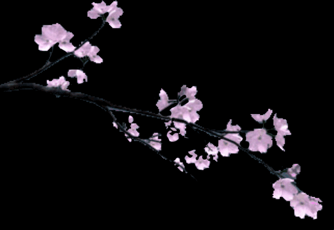 风霜夜,片片梅瓣,残叶风化. 雪寒无惧春风怕,冻霜添魅冬天雅.