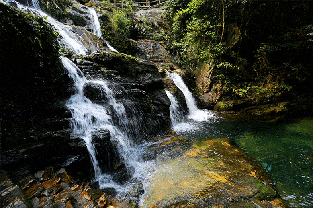是你用弱小身躯集聚的水潭 地上丰润的植物 是你用美好理想编织的