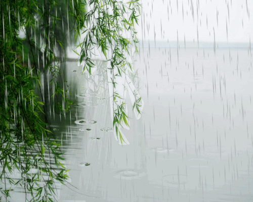 500_400gif ̬ͼ ͼ