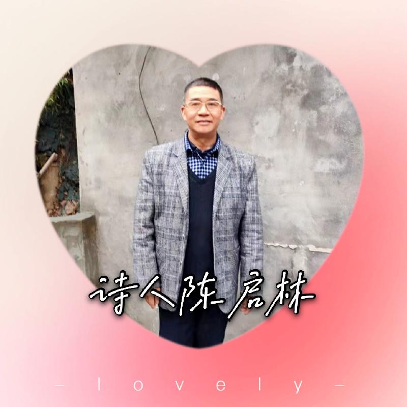 【当代文艺《满江红八阕盛世中华》作者:陈启林