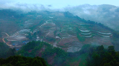 400_225gif 动态图 动图