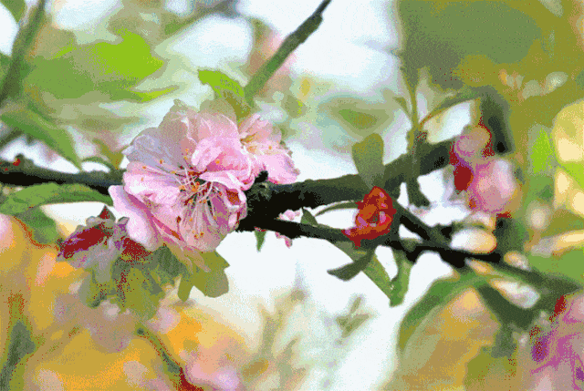 燕喧催晓梦,蝶舞绕花丛. 百媚桃李争秀色,黄莺鸣啭林中.