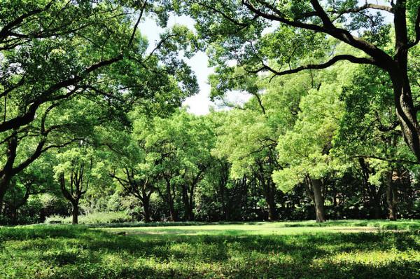 最美风景永远在路上丨营口宏基商务宾馆精品二日游 活动价:98元/人