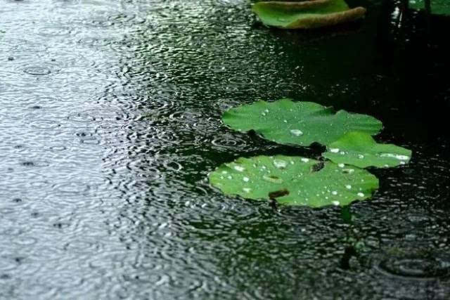 非凡诗社**胜花作品推送 《西江月*夏雨》