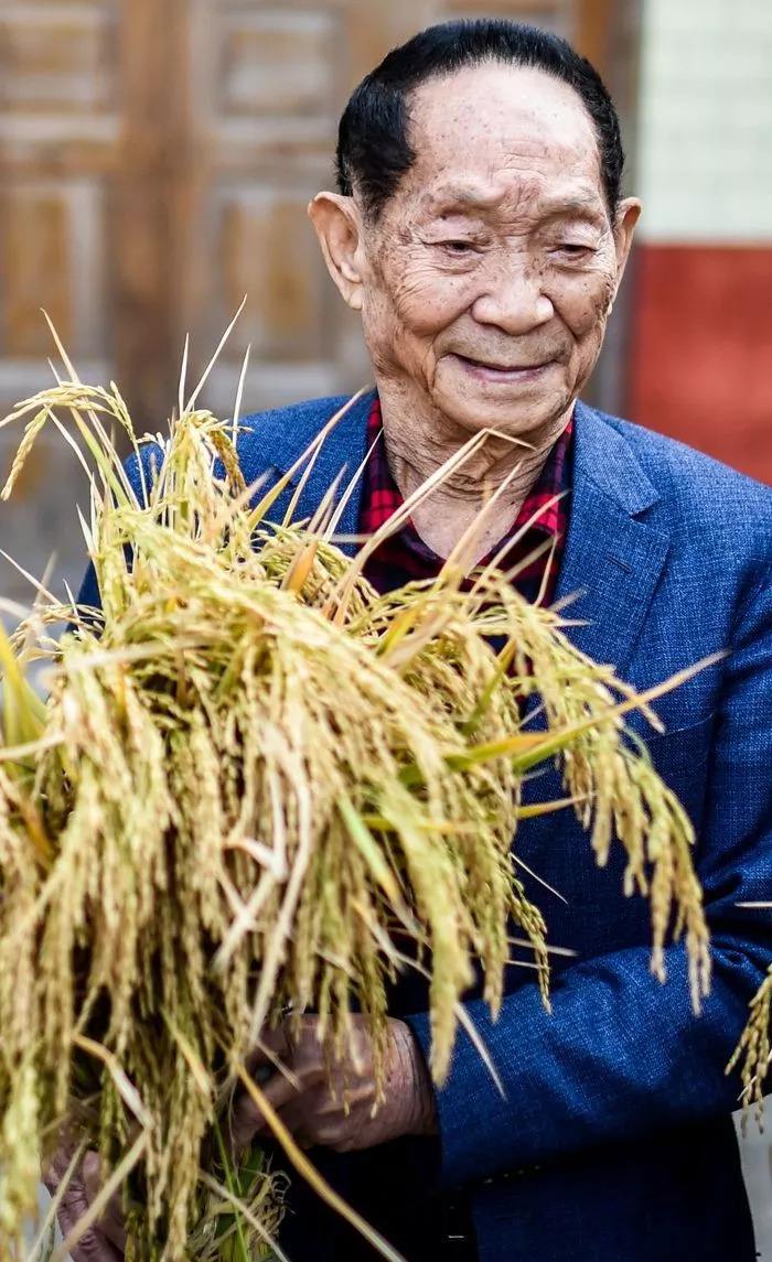 北方诗林悼水稻之父袁隆平全国优秀诗选