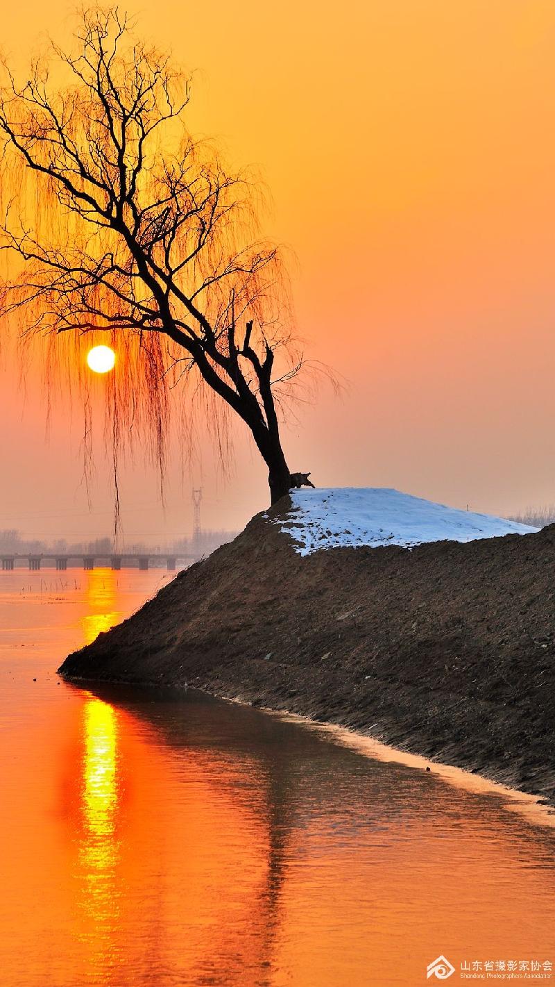 毓影:我爱夕阳
