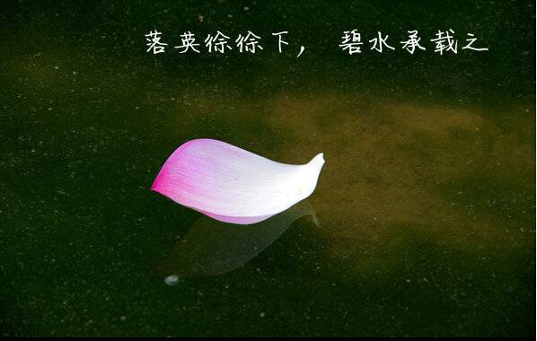 春去夏来