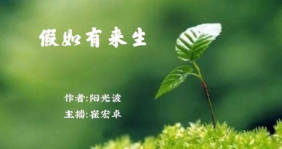 【中国都市文学社】隆重推出《假如有来生》作者‖阳光波;主播‖崔宏