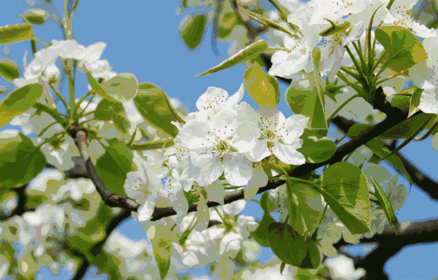 由于疫情等种种原因,很少回老家.