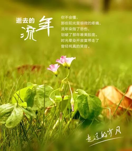 走过山重水复的流年文‖赖长虹(吉林)