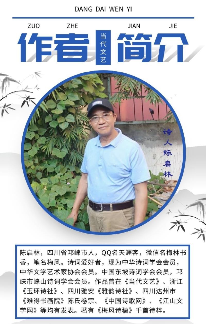 【当代文艺《七声阮四组》作者:陈启林