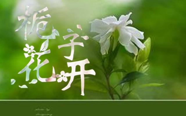 【世界语|英语|栀子花开】