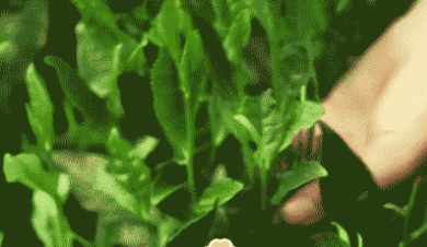 调整 文‖张传浩