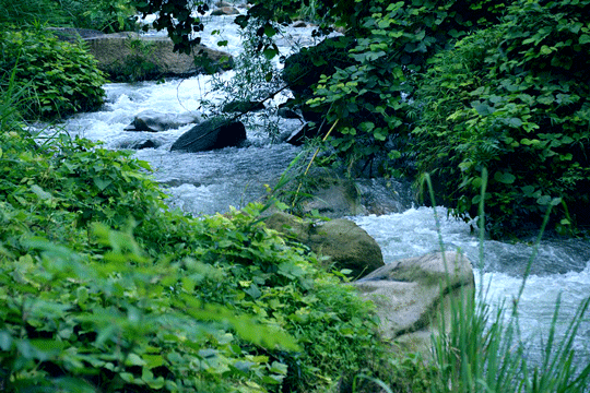 婧 祦锷ㄥ浘.gif