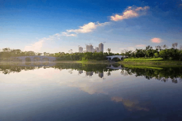 诗意传情诗社【又见秋雨】文‖姚京平 诵‖旭洋(456)