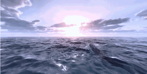 秋霜秋露清秋语,枫火流丹醉老夫.