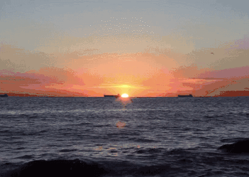 【活着才是最美的精彩】文/金属 ‖诵/子烨【采菊文苑