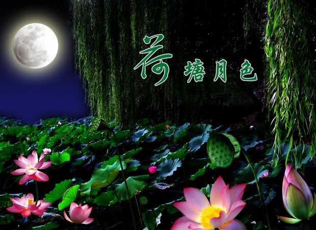 月夜独步(新韵 作者/荷塘