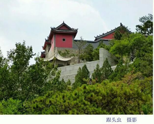 我的齐鲁祖籍 文/邢宪鹏
