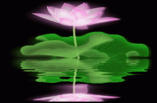 期实那只是 一个遥不可及的梦 即便真有来世 红尘轮回中 你不在是