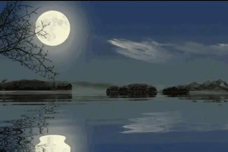 今夜的月色好美