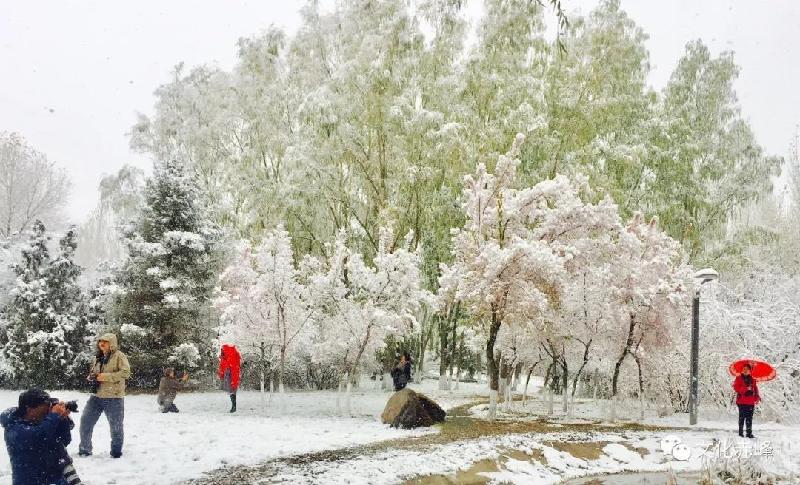 尘埃朗诵《秋雪庵的雪》作者/碑林路人 编辑/胡琴