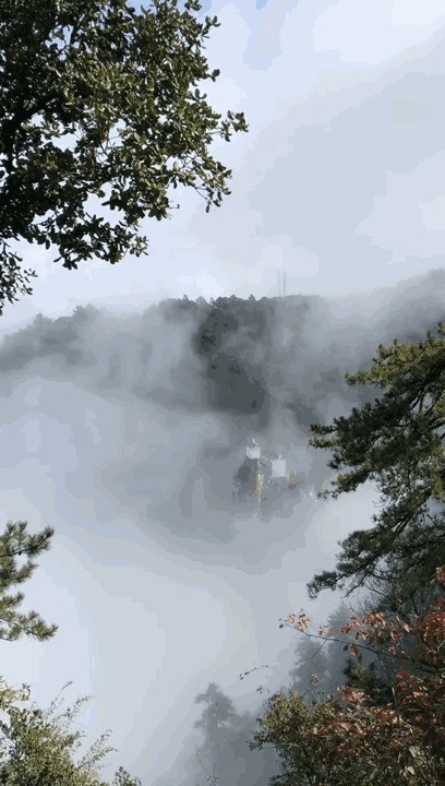 辛丑处暑感怀(外二首)文║张向东