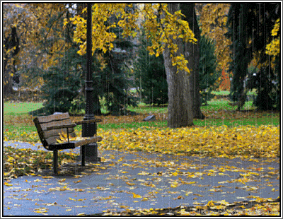 秋风落叶秋雨寒