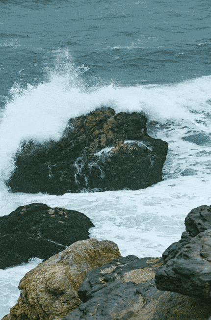 你释然的样子 无人能懂 风卷起浪花 潮水撞击着海岸 灵魂在海水里打