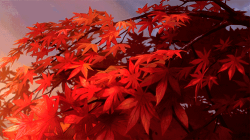 500_280gif 动态图 动图