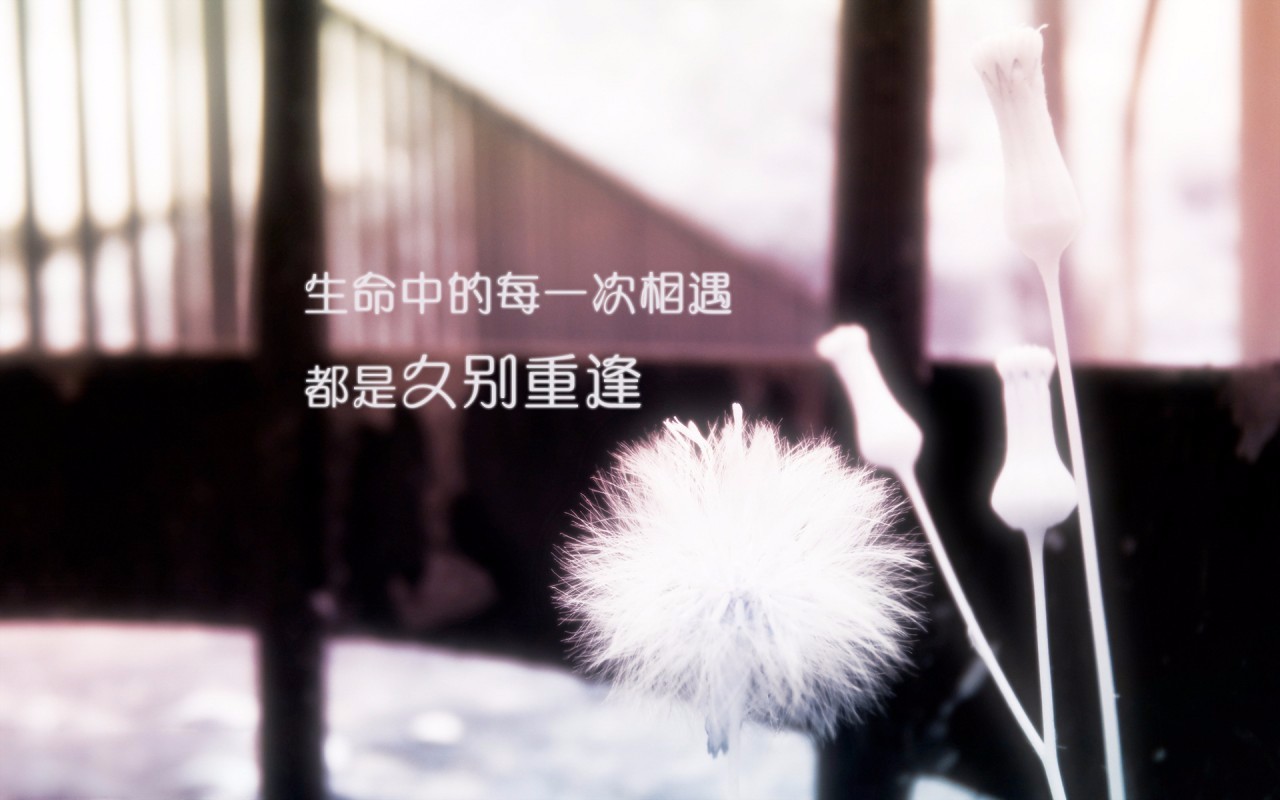 《旧缘》雨后初晴pk高原情/朗诵 幽兰(第33期)【家人有约】
